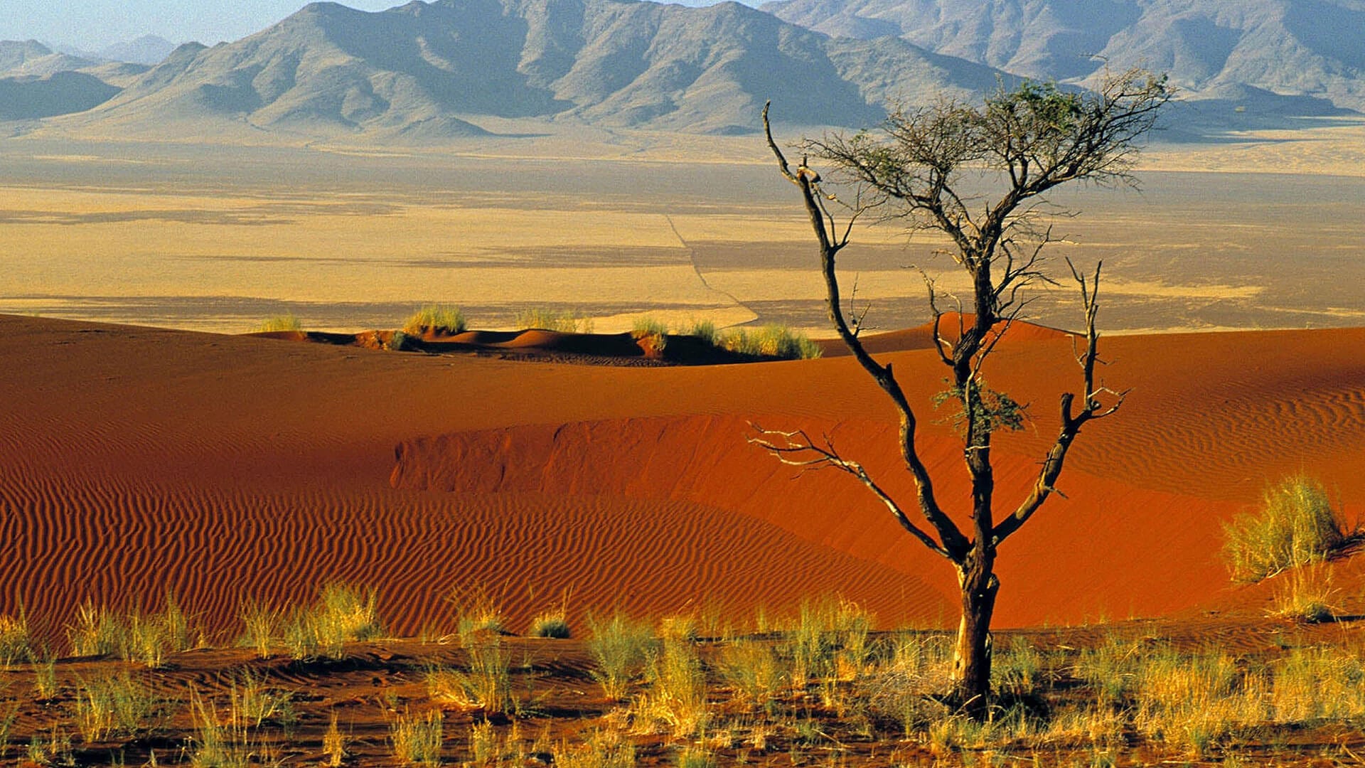 Namibia - Travel Republic Africa
