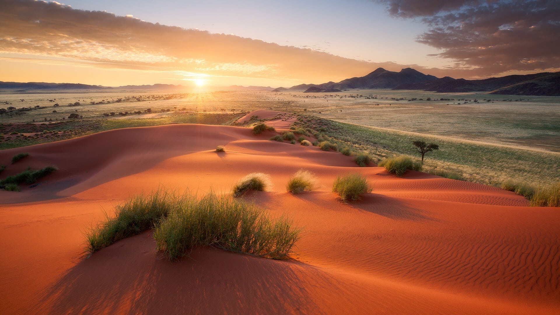 Namib Desert Tour Travel Republic Africa | Hot Sex Picture